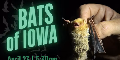 Bats of Iowa