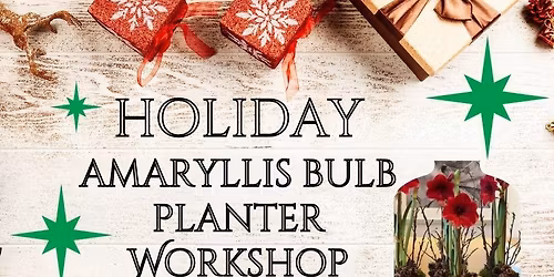 Festive Amaryllis Planter Workshop