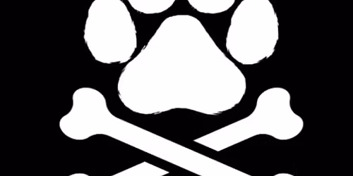 2nd Annual Pets Pirates& Pubs