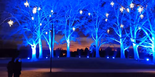 \u2728\ud83c\udf84 Christmas Bazaar 2025 \ud83c\udf84\u2728