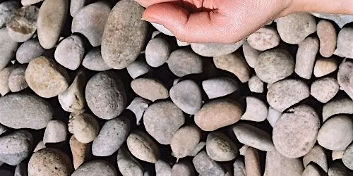 Spring Reset and Renewal: A Somatic Journey to Align Energy and Career