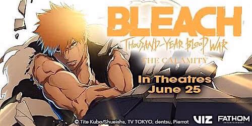 Bleach: Thousand-Year Blood War- The Calamity