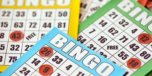 NOT YOUR AVERAGE BINGO - TROY