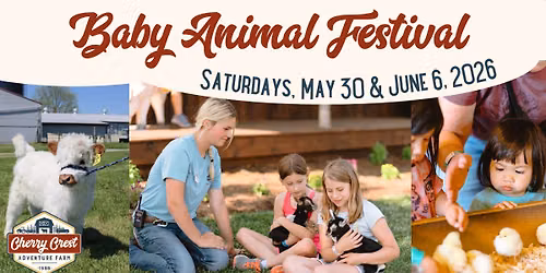 Baby Animal Festival
