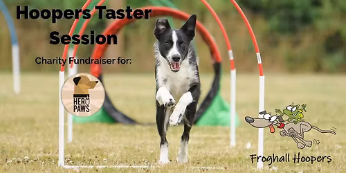 \ud83d\udc3e Hoopers Taster Session \u2014 Charity Fundraiser for Hero Paws \ud83d\udc3e