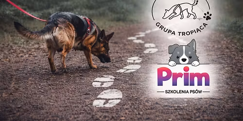 Tropkowe warsztaty z Prim vol.2