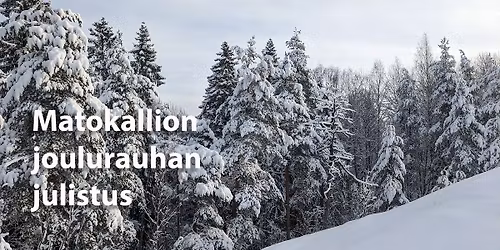 Matokallion joulurauhan julistus