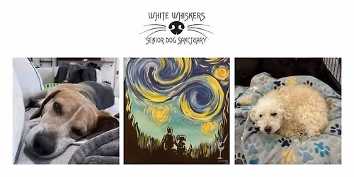 PRE REGISTER - White Whiskers Painting with a Twist!