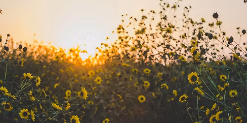 NAMI Caregiver Wellness Workshop (Registration Required)