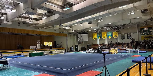 Wilberforce Bulldogs at Ohio Bobcats Womens Basketball