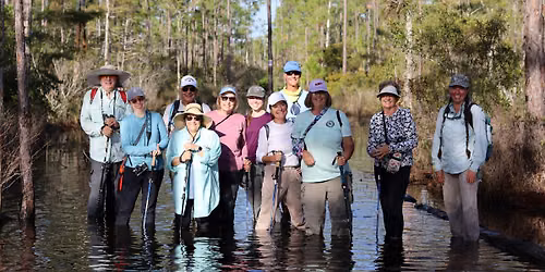 Wet Walk: All About Aquifers