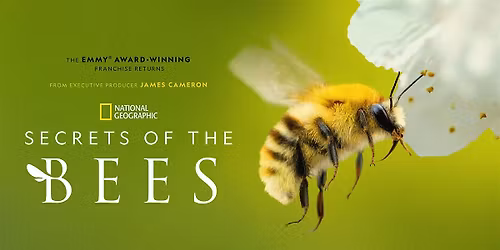 Film Screening with Dr. Sammy Ramsey: Secrets of the Bees