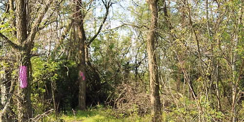 AARP 50+ Walk Series: Great Views at Girty\u2019s Woods
