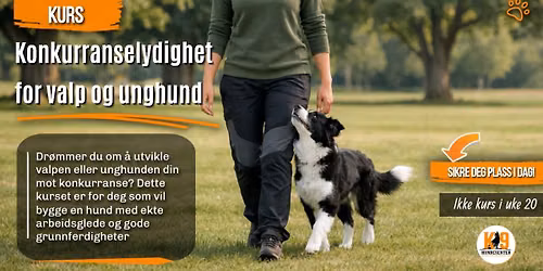 Konkurranselydighet for valp og unghund