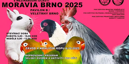 Moravia Brno 2025
