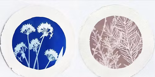 Cyanotype, Lumen and Anthotype Printing Workshop