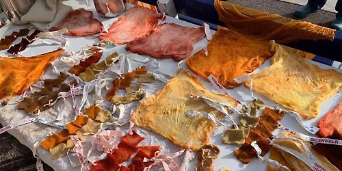 Plant dyes from the garden