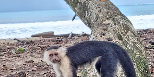 V\u00e1ndorL\u00e1ss EST - Szeles P\u00e1l Ildik\u00f3 mes\u00e9l Panam\u00e1r\u00f3l, Nikaragu\u00e1r\u00f3l, Costa Ric\u00e1r\u00f3l - 2026. m\u00e1rcius 10.