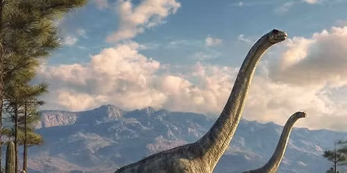 Celebrate Sonorasaurus