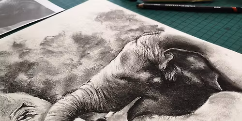 Elephants in Charcoal & Graphite with Estelle Robinson