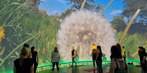 Primary Pilates in the Immersive Dome