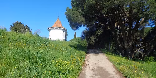 Caminhada por Trilhos e Miradouros de Monsanto