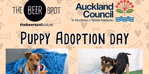 Dog adoption day