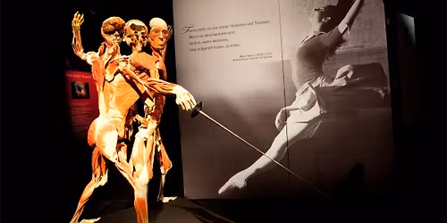 Bodies - The Exhibition at Luxor Hotel and Casino