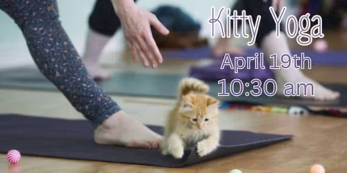 April Kitty Yoga