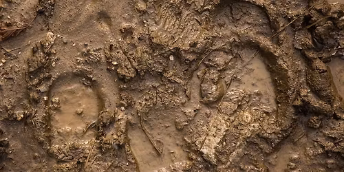 Mud Painting