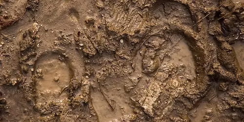 Mud Painting