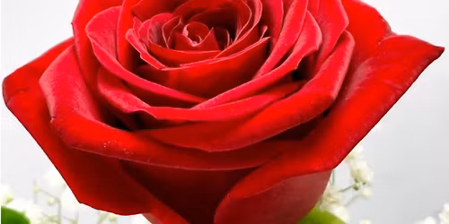 Valentinstag-Package