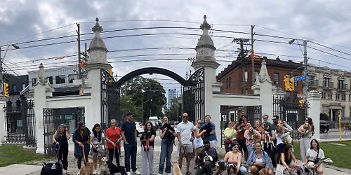 September Spaniel Meet