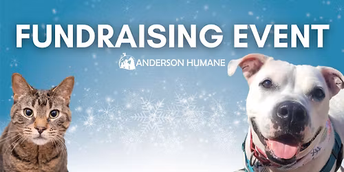 Harvey\u2019s Tales Hot Cocoa & Book Reading with Author Sherri Duskey Rinker