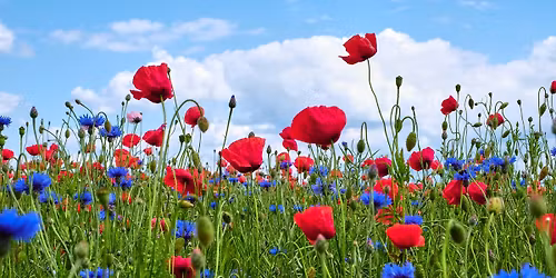 Veterans Breakfast Club