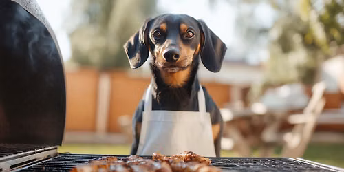 Paws, Plates, and Patriotism