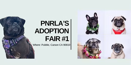 PNRLA Adoption Fair #1 at the Pubble