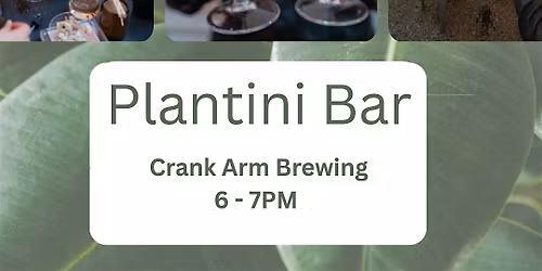 Plantini Bar at Crank Arm Brewing