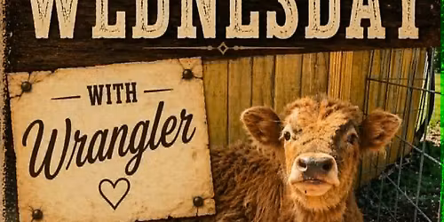 Wednesday With Wrangler