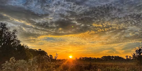 Catch me if you can 5k