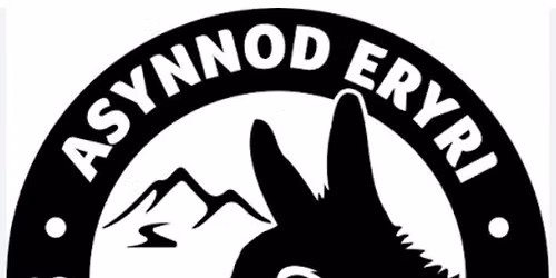 Snowdonia Donkeys Charity Quiz