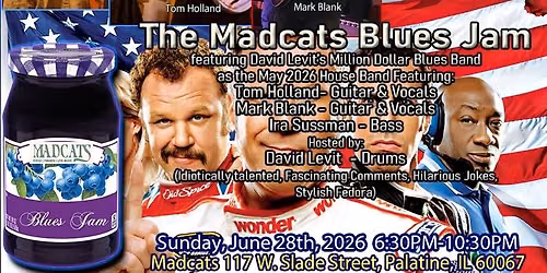 The Madcats Blues Jam ft. Tom Holland, Mark Blank  & Ira Sussman, hosted by Drummer Dave Levit