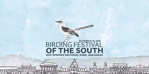 Birding Festival of the South