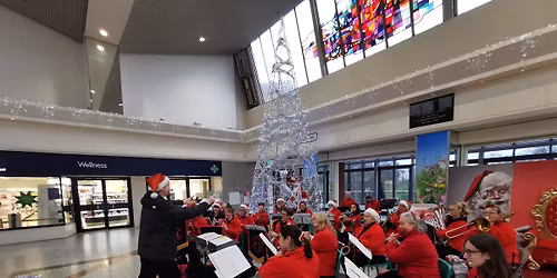 Carolling at Ankerside