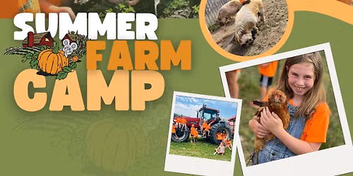 Farm Camp at Craven Farm