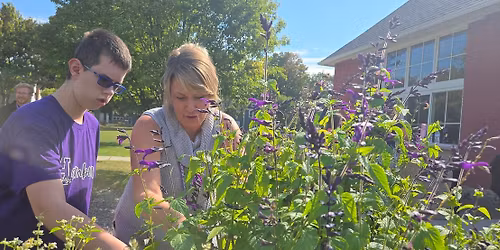 VOH Community Garden Summer Solstice Seed Sowing