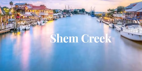 Thompson Technique Academy - Charleston