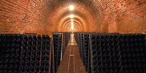 CHAMPAGNE WINE TASTING