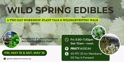 Wild Spring Edibles: A Two Day Workshop