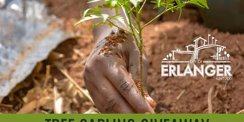 Tree Sapling Giveaway | City of Erlanger Public Works